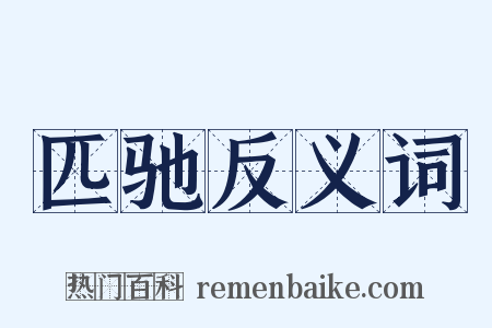 匹驰反义词是什么意思的图片